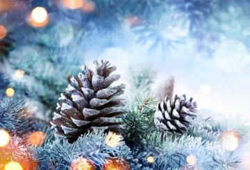 Öffnungszeiten zwischen Weihnachten und Neujahr